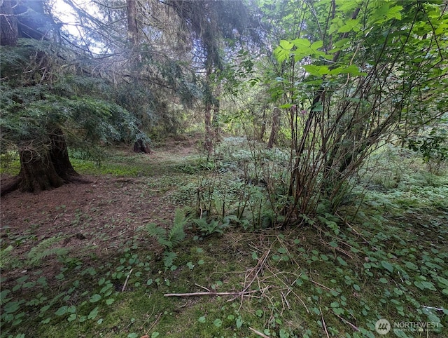 235 Delta Wing Dr, Forks, WA 98331 - photo 29