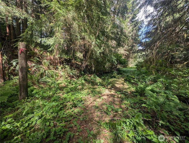 235 Delta Wing Dr, Forks, WA 98331 - photo 33