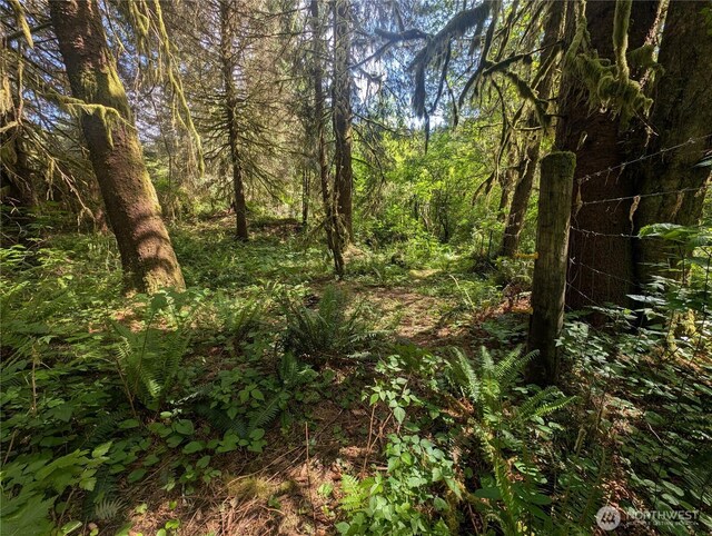 235 Delta Wing Dr, Forks, WA 98331 - photo 35