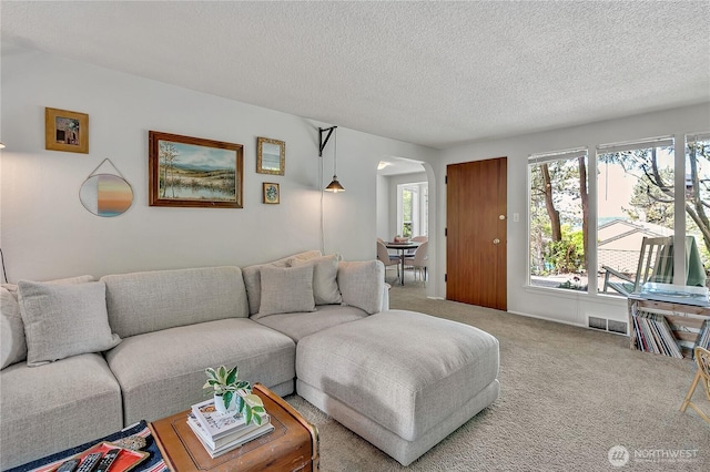 9024 29th St W, University Place, WA 98466 - living area featuring arched walkways, healthy amount of natural light, carpet flooring, and a textured ceiling