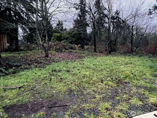 905 Pierce Ln NE, Tacoma, WA 98422 - photo 3