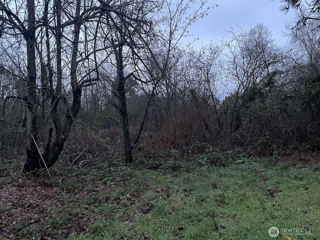 905 Pierce Ln NE, Tacoma, WA 98422 - photo 6