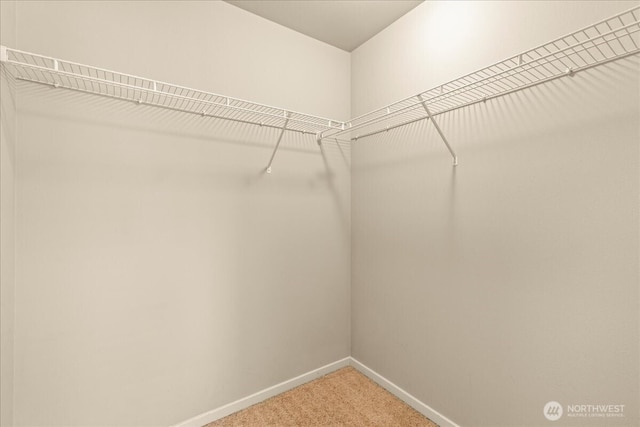 21421 104th Street Ct E, Bonney Lake, WA 98391 - spacious closet featuring light colored carpet