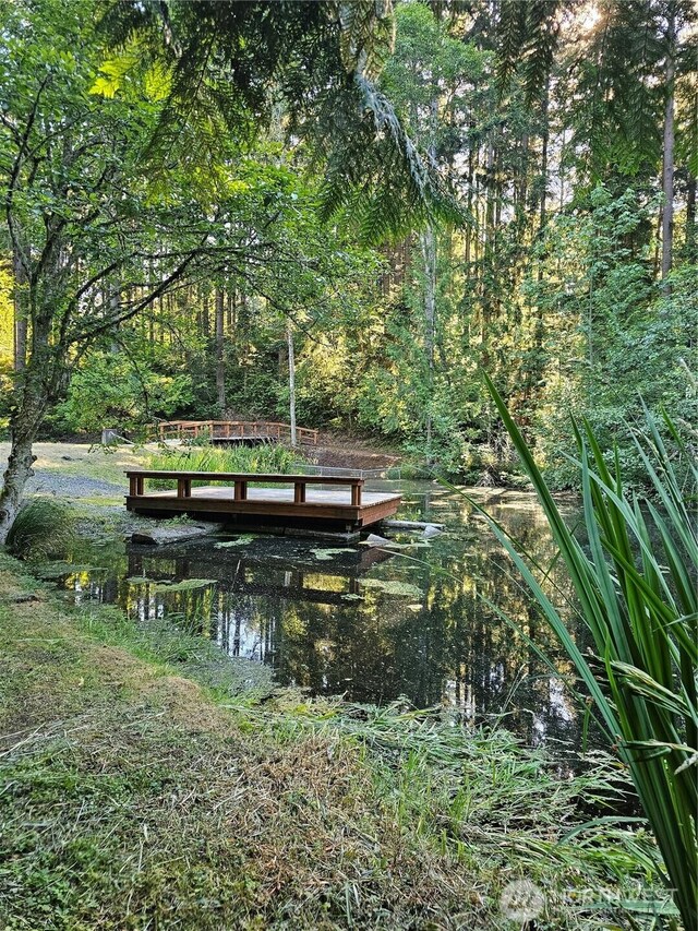 22204 Bluewater Ct SE, Yelm, WA 98597