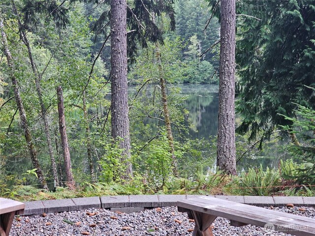 22204 Bluewater Ct SE, Yelm, WA 98597