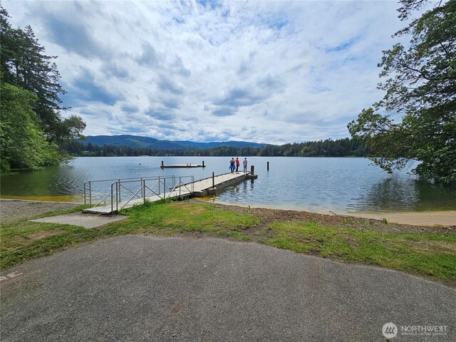 22204 Bluewater Ct SE, Yelm, WA 98597