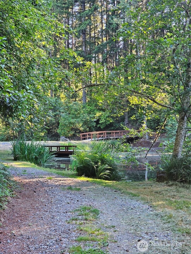22204 Bluewater Ct SE, Yelm, WA 98597