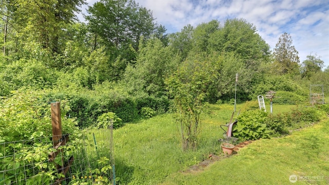 6614 241st Ave E Unit 38, Buckley, WA 98321 - view of yard featuring a wooded view