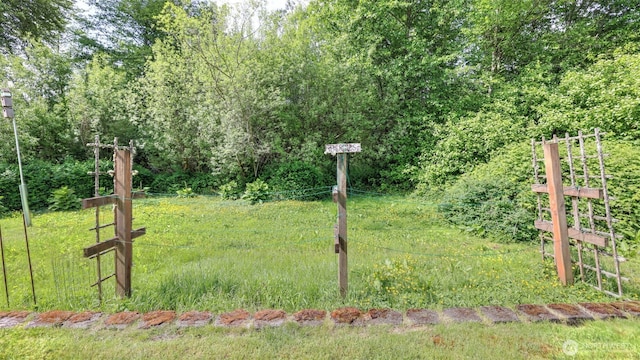6614 241st Ave E Unit 38, Buckley, WA 98321 - view of yard