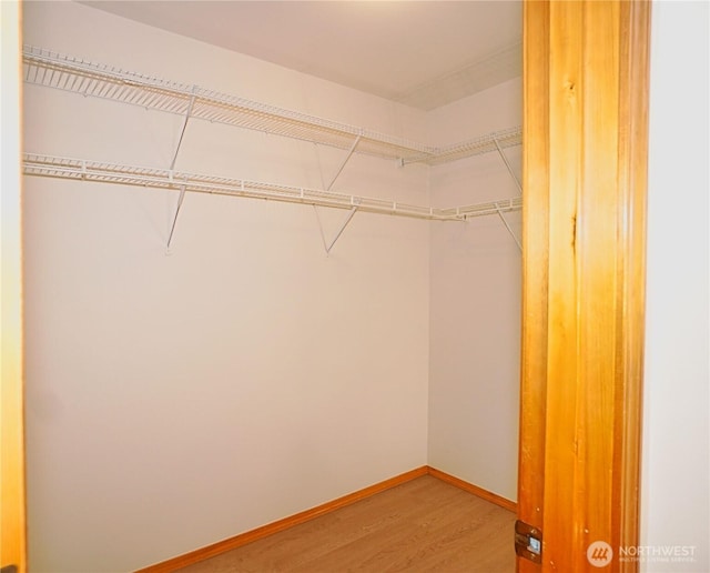 2820 V Ct SE, Auburn, WA 98002 - spacious closet with light wood-style floors