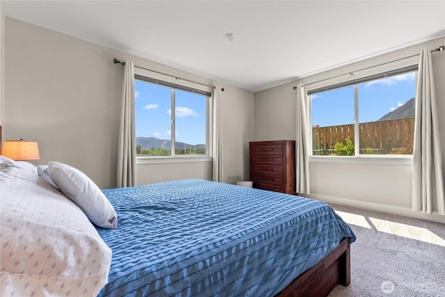 3 Kingfisher Rd, Twisp, WA 98856 - carpeted bedroom with multiple windows