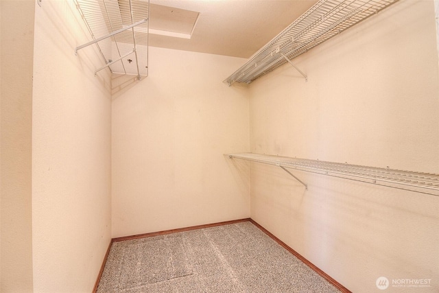 703 Tanarae Pl, Yakima, WA 98908 - walk in closet with carpet