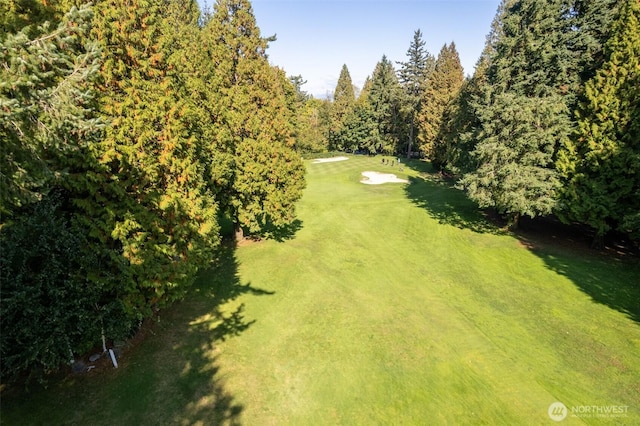 9042 Gleneagle Dr, Blaine, WA 98230 - view of grassy yard with view of golf course