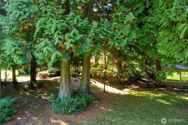 9042 Gleneagle Dr, Blaine, WA 98230 - view of green lawn