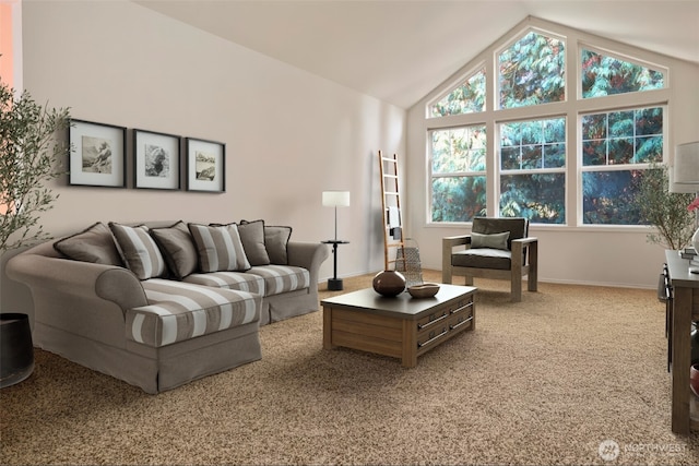 9042 Gleneagle Dr, Blaine, WA 98230 - living area with carpet and lofted ceiling