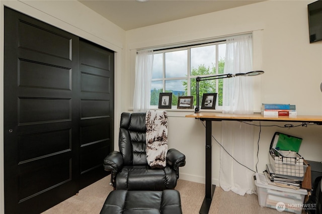 515 Mitchell St, Sumas, WA 98295 - living area featuring carpet flooring and baseboards