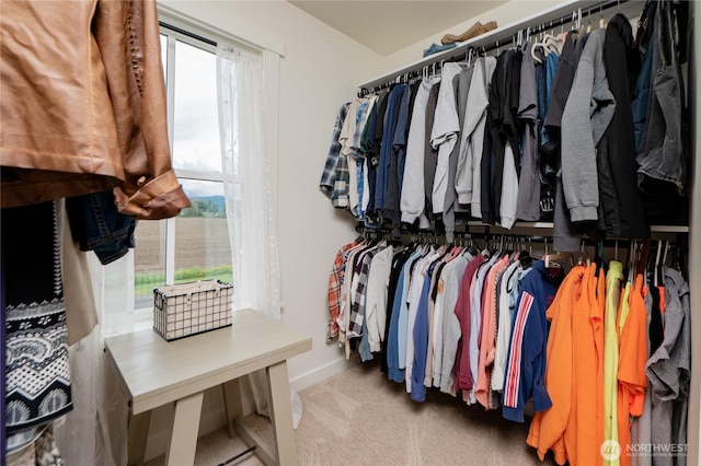 515 Mitchell St, Sumas, WA 98295 - spacious closet featuring carpet floors