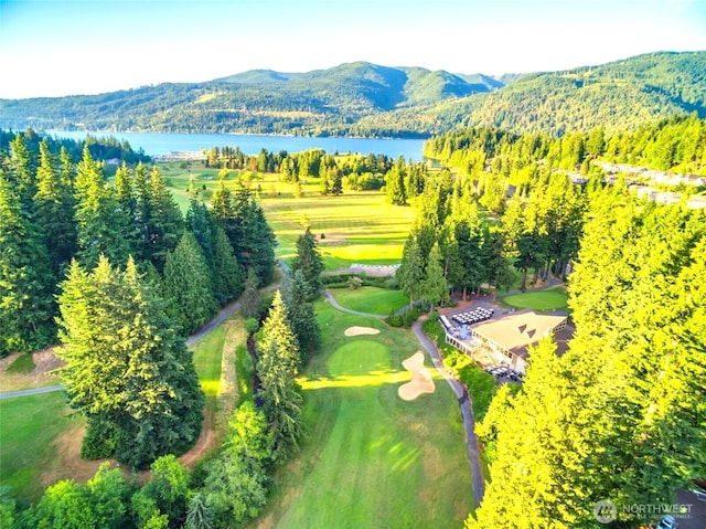 39 Stable Ln, Bellingham, WA 98229