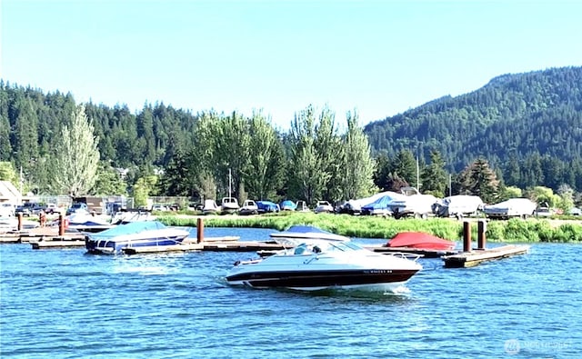 39 Stable Ln, Bellingham, WA 98229