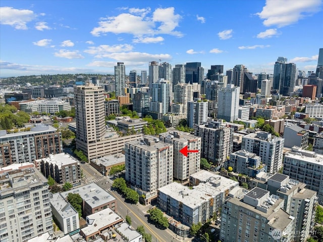 2801 1st Ave Unit 1002, Seattle, WA 98121 - skyline view