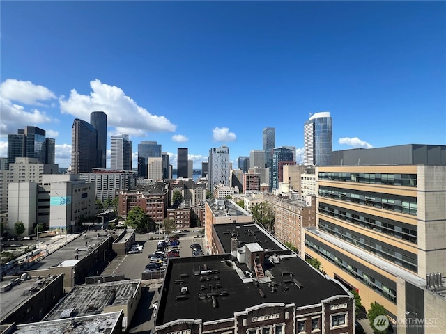 1105 Spring Unit 1309, Seattle, WA 98104 - skyline view