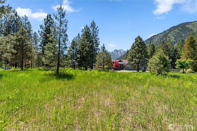0 Shore St, Leavenworth, WA 98826 - photo 1