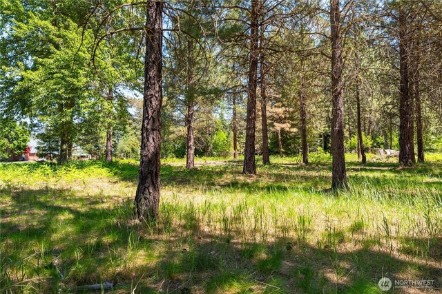 0 Shore St, Leavenworth, WA 98826 - photo 8