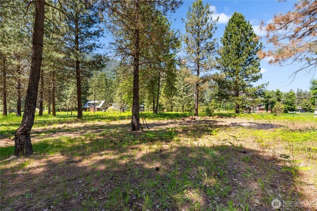 0 Shore St, Leavenworth, WA 98826 - photo 10