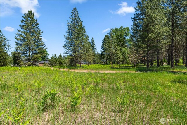 0 Shore St, Leavenworth, WA 98826 - photo 18