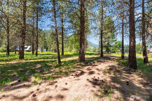 0 Shore St, Leavenworth, WA 98826 - photo 20