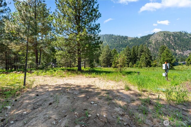 0 Shore St, Leavenworth, WA 98826 - photo 21