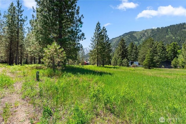 0 Shore St, Leavenworth, WA 98826 - photo 22