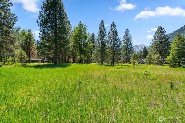0 Shore St, Leavenworth, WA 98826 - photo 23