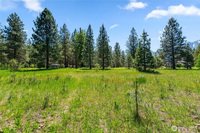 0 Shore St, Leavenworth, WA 98826 - photo 24