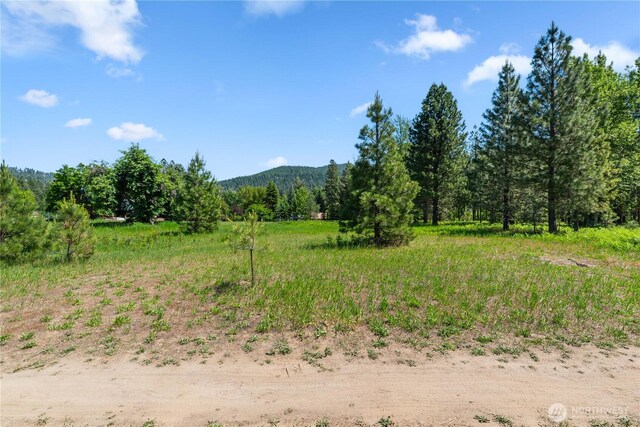 0 Shore St, Leavenworth, WA 98826 - photo 25