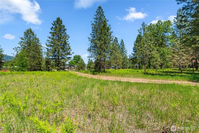 0 Shore St, Leavenworth, WA 98826 - photo 26