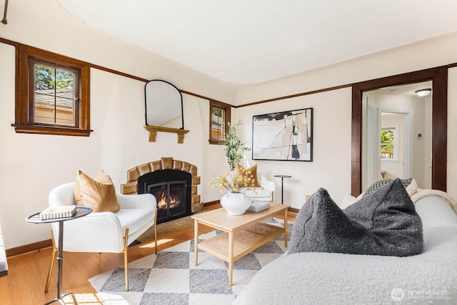 1214 NE 98th St, Seattle, WA 98115 - living area with healthy amount of natural light, wood finished floors, a glass covered fireplace, and baseboards