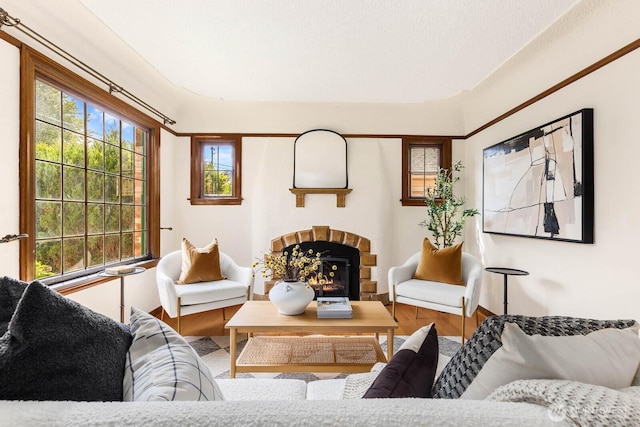 1214 NE 98th St, Seattle, WA 98115 - living area with plenty of natural light, a lit fireplace, and wood finished floors