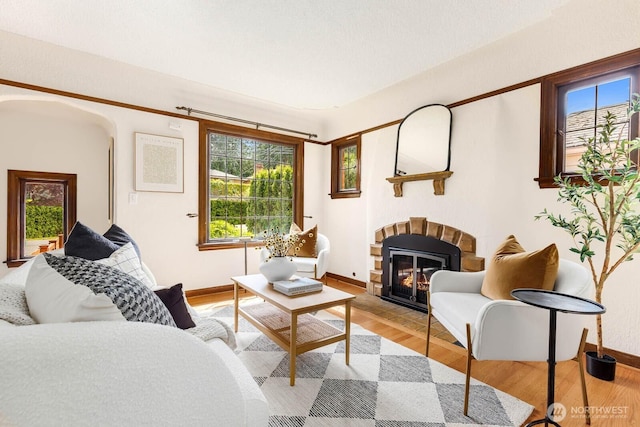 1214 NE 98th St, Seattle, WA 98115 - living room featuring light wood-style flooring, a fireplace with flush hearth, and baseboards