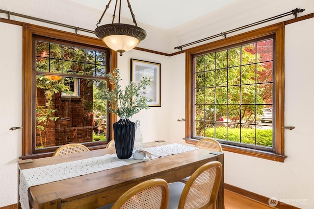1214 NE 98th St, Seattle, WA 98115 - home office featuring plenty of natural light, baseboards, and wood finished floors
