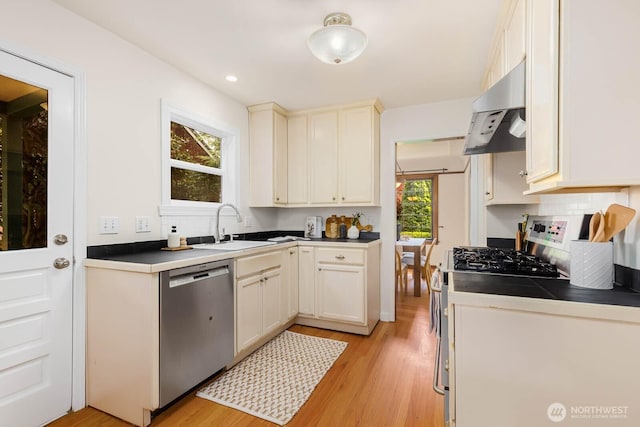 1214 NE 98th St, Seattle, WA 98115 - kitchen with stainless steel appliances, under cabinet range hood, light wood finished floors, a sink, and backsplash