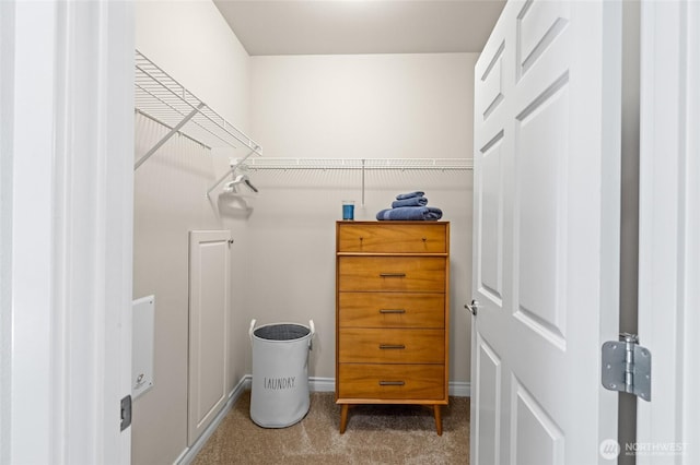 1310 Old Fairhaven Pkwy Unit 102, Bellingham, WA 98225 - walk in closet with carpet