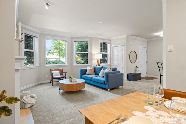1310 Old Fairhaven Pkwy Unit 102, Bellingham, WA 98225 - living area with light carpet, crown molding, and baseboards