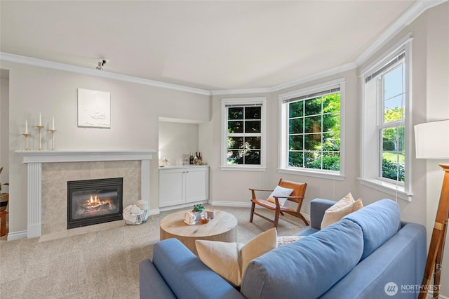 1310 Old Fairhaven Pkwy Unit 102, Bellingham, WA 98225 - living area with carpet floors, a fireplace, ornamental molding, and baseboards