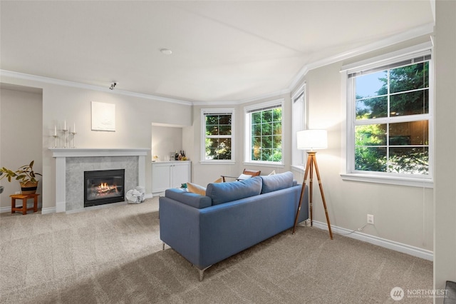 1310 Old Fairhaven Pkwy Unit 102, Bellingham, WA 98225 - living area with ornamental molding, carpet floors, healthy amount of natural light, and a fireplace