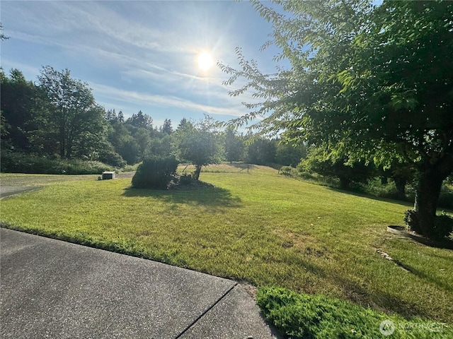 3220 N Pacific Ave, Kelso, WA 98626 - photo 4