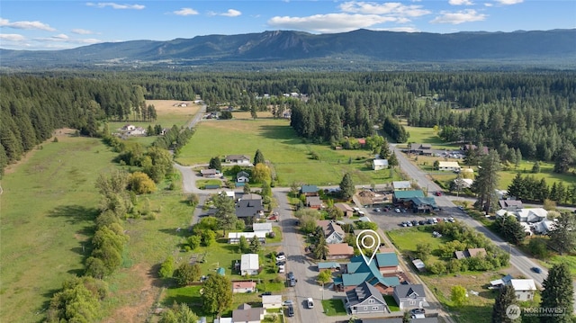 706 S A St, Roslyn, WA 98941 - aerial view of property's location featuring a heavily wooded area and a mountain backdrop