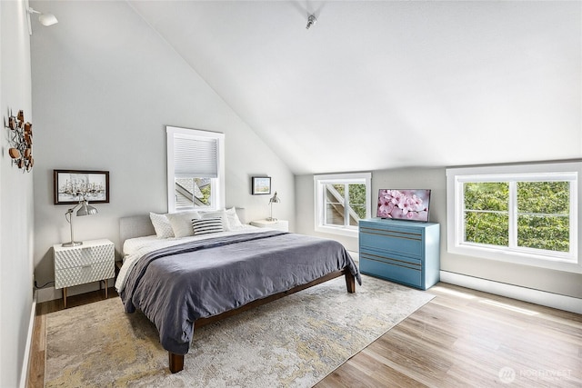 490 Madison Ave N Unit 202, Bainbridge Island, WA 98110 - bedroom featuring vaulted ceiling, wood finished floors, and a baseboard radiator