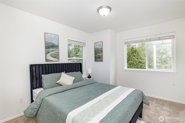 1700 235th Pl SW, Bothell, WA 98021 - bedroom with light colored carpet, multiple windows, and baseboards