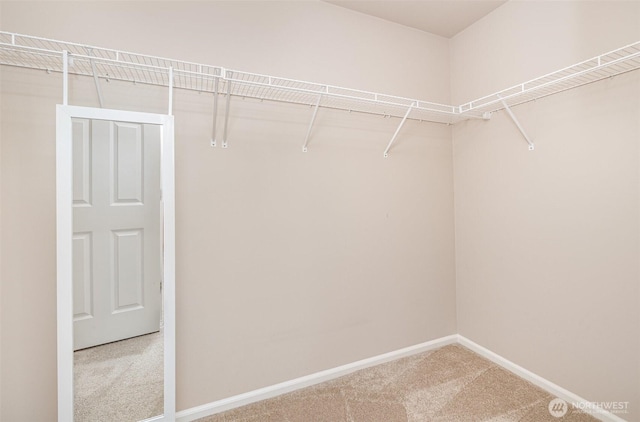 1700 235th Pl SW, Bothell, WA 98021 - spacious closet with carpet